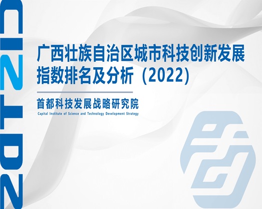 操鸡巴免费网站【成果发布】广西壮族自治区城市科技创新发展指数排名及分析（2022）